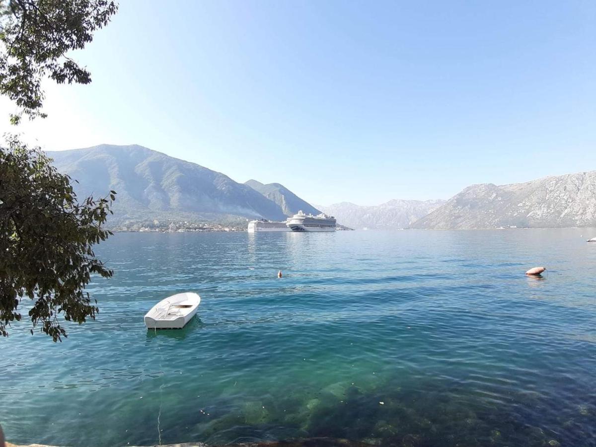 Montenegro Apartments - Private Beach Kotor Eksteriør billede