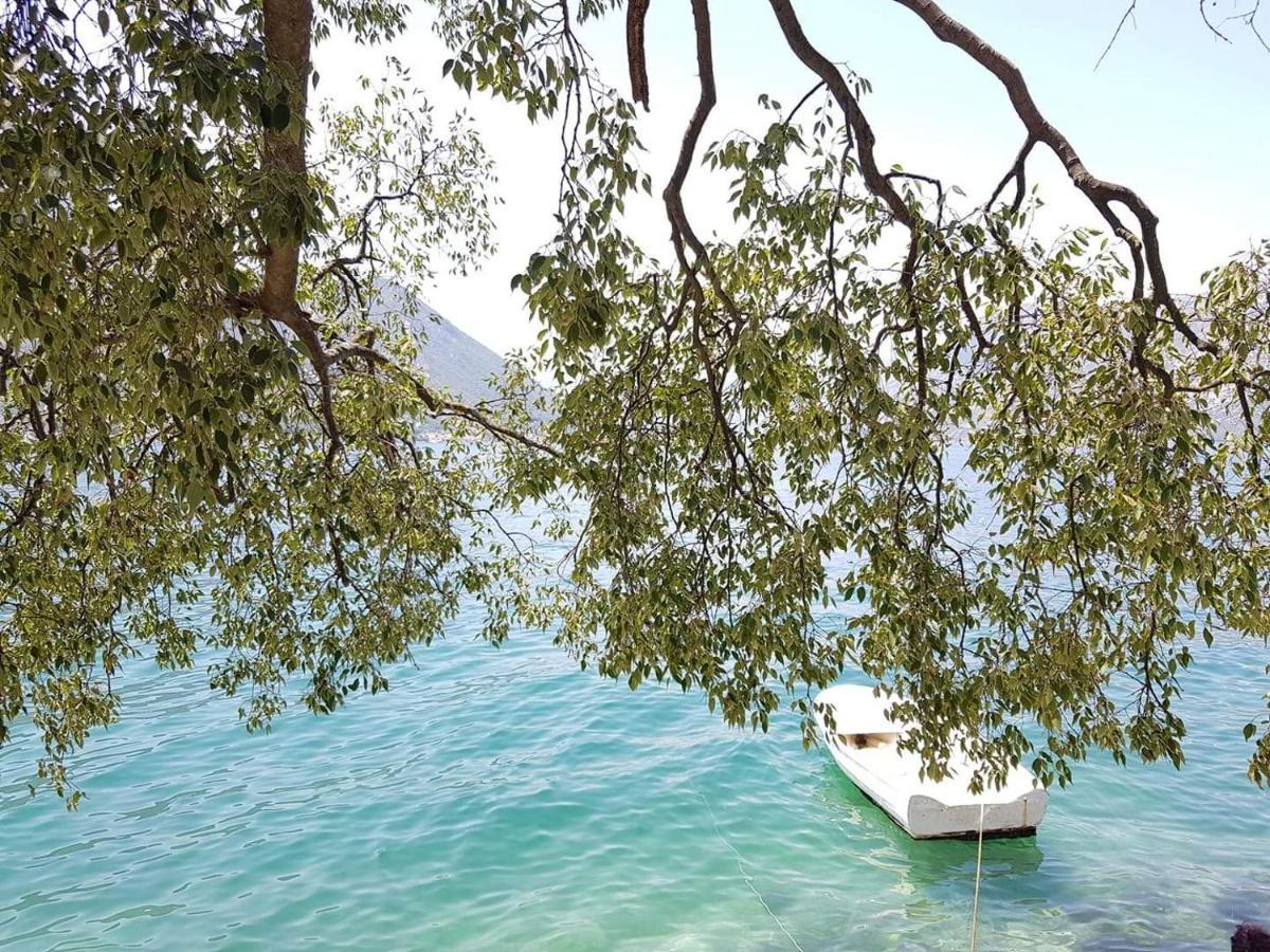 Montenegro Apartments - Private Beach Kotor Eksteriør billede