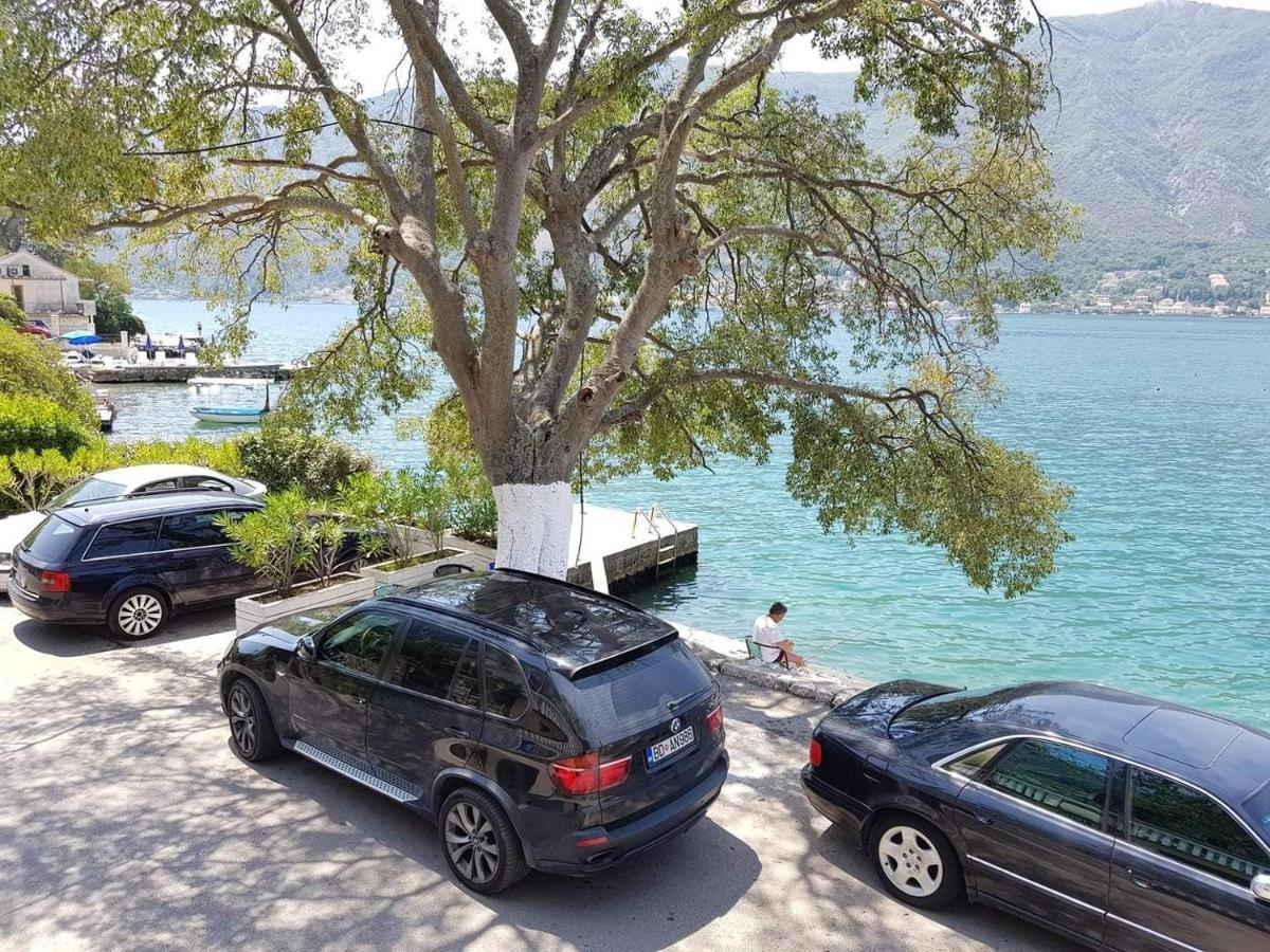 Montenegro Apartments - Private Beach Kotor Eksteriør billede